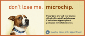 Microchip_landing